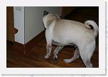 IMG_0836 * 3456 x 2304 * (3.05MB)