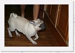 IMG_0837 * 3456 x 2304 * (3.1MB)