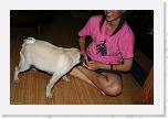 IMG_0839 * 3456 x 2304 * (3.18MB)