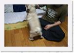 IMG_0841 * 3456 x 2304 * (2.77MB)