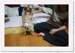 IMG_0842 * 3456 x 2304 * (2.75MB)