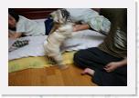 IMG_0843 * 3456 x 2304 * (2.75MB)