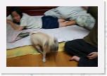 IMG_0844 * 3456 x 2304 * (2.7MB)