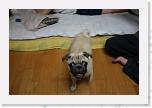 IMG_0845 * 3456 x 2304 * (2.8MB)
