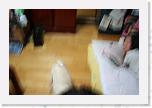 IMG_0850 * 3456 x 2304 * (2.68MB)