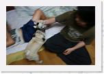 IMG_0856 * 3456 x 2304 * (2.69MB)
