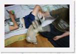 IMG_0857 * 3456 x 2304 * (2.84MB)