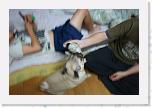 IMG_0858 * 3456 x 2304 * (2.83MB)