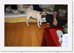 IMG_0860 * 3456 x 2304 * (3.2MB)